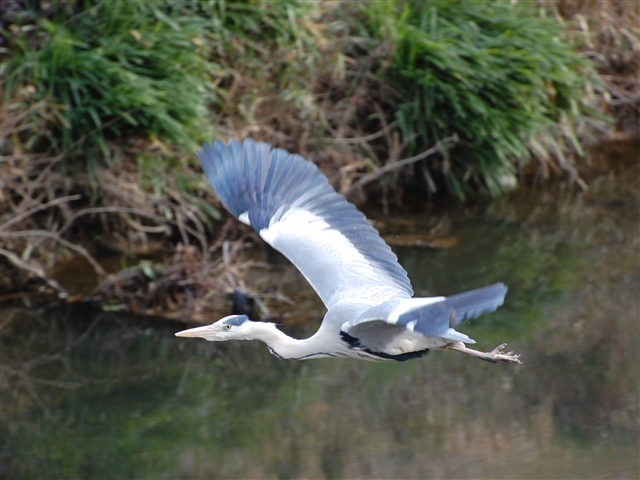 �������������ł���Ƃ���