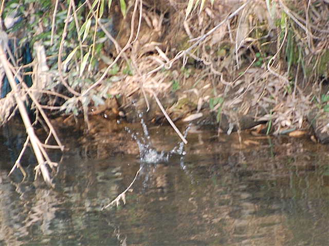 �J���Z�~������