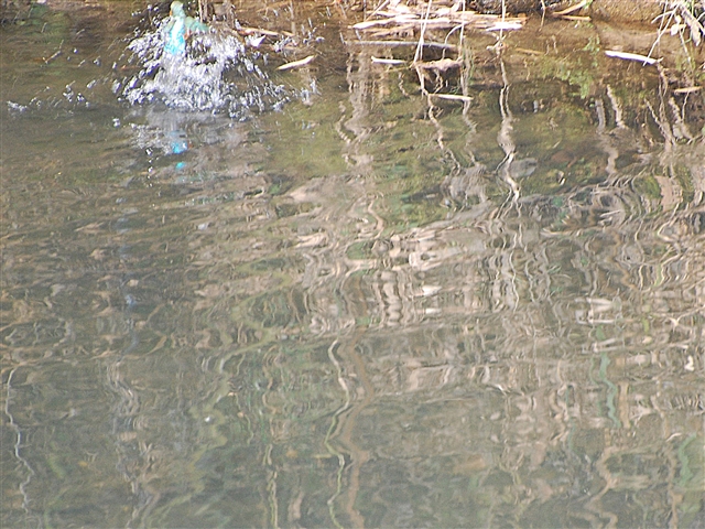 �J���Z�~��яオ��