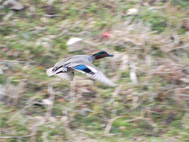 ��ԏ��K��