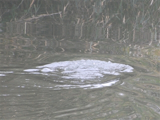 �J���E����