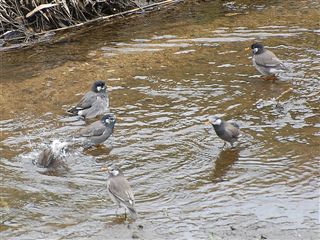 ���N�h��������