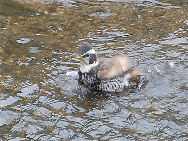 �c�O�~������