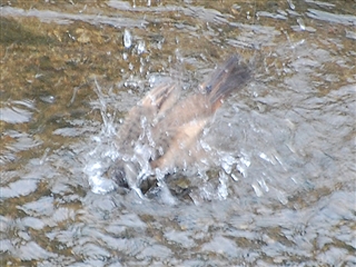 �c�O�~������