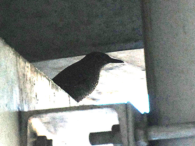 �����̏�̖��O�̕�����Ȃ���