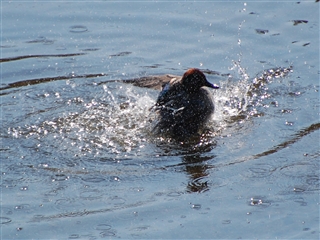 �����т���J��