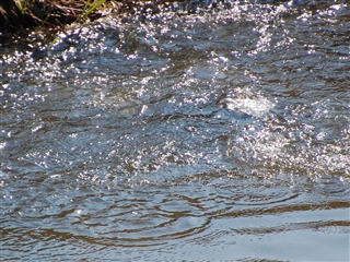 �����Ă��܂��܂���